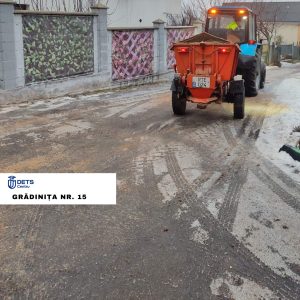 Combaterea poleiului pe teritoriile instituțiilor educaționale din sectorul Centru